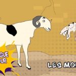 Les moutons