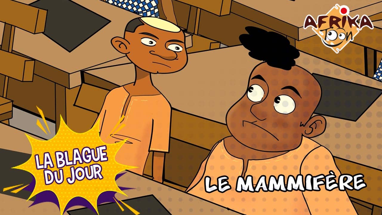 Le mammifère | La blague du jour